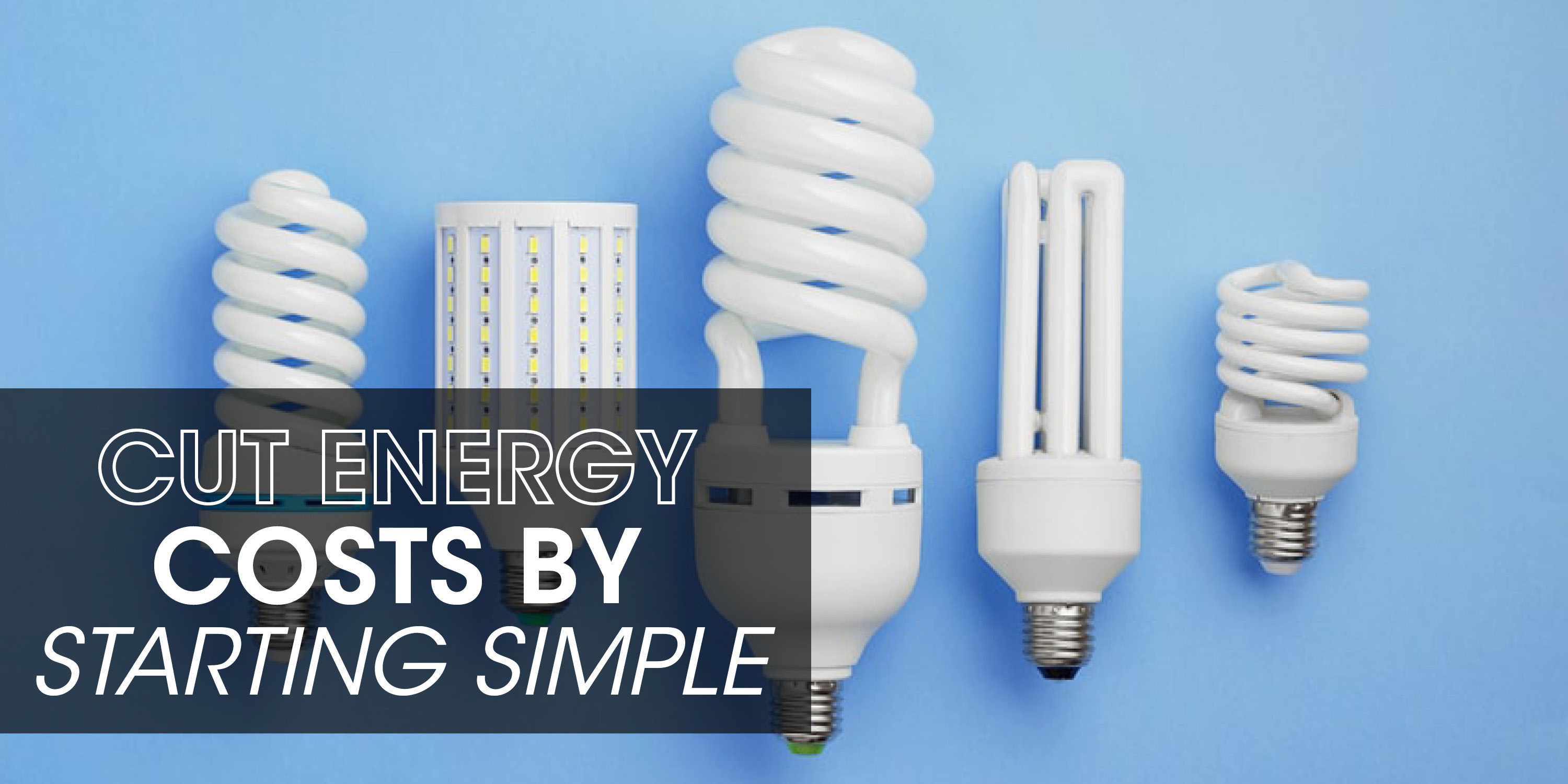 Light bulbs with text: "Cut energy costs by starting simple"